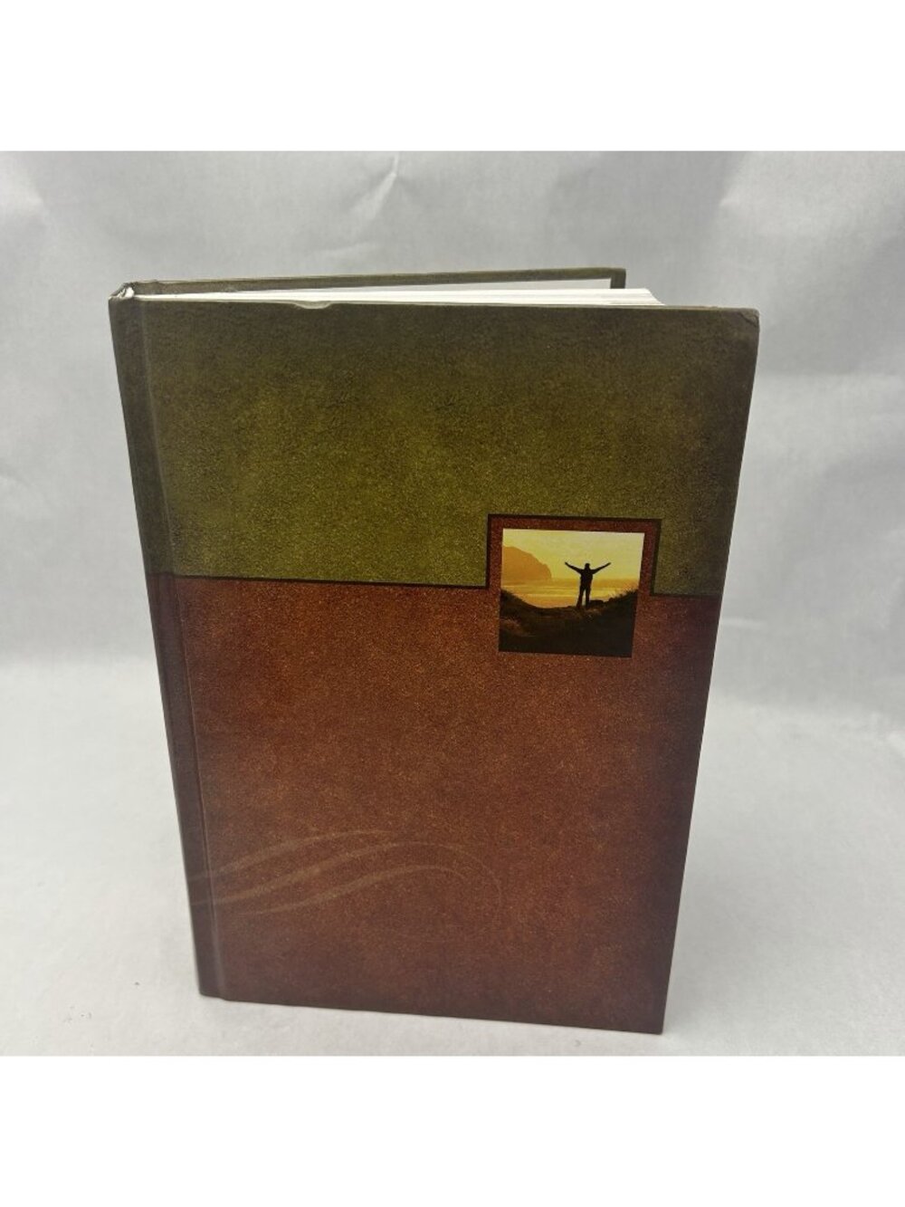 Celebrate Recovery Bible, New International Version Hardcover